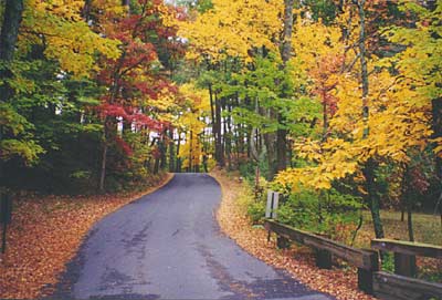 Autumn road